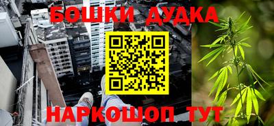 МДПВ Будённовск